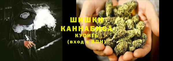 дурь Алзамай
