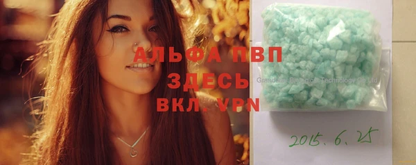 гашик Алексин