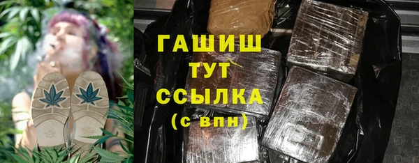 гашик Алексин