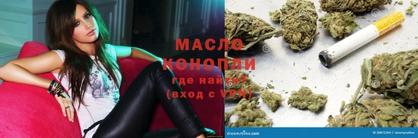 гашик Алексин